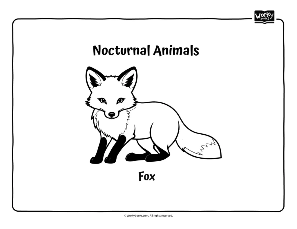 Fox Coloring page