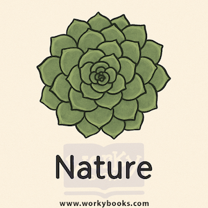 Geometry in Nature