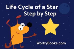 Life Cycle of a Star