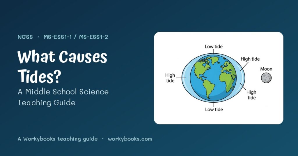 What causes tides