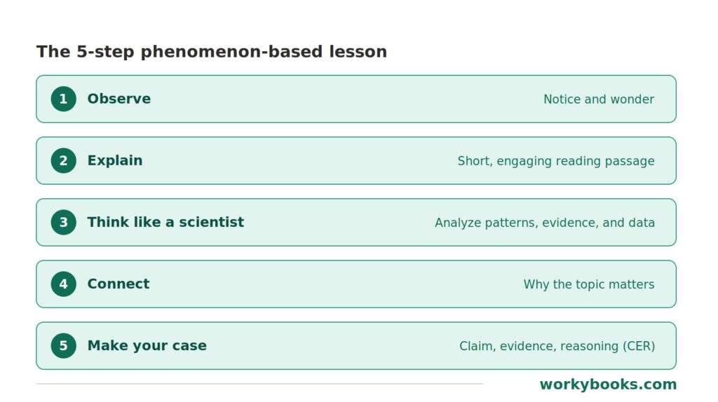 5 step NGSS real-world phenomena lessons