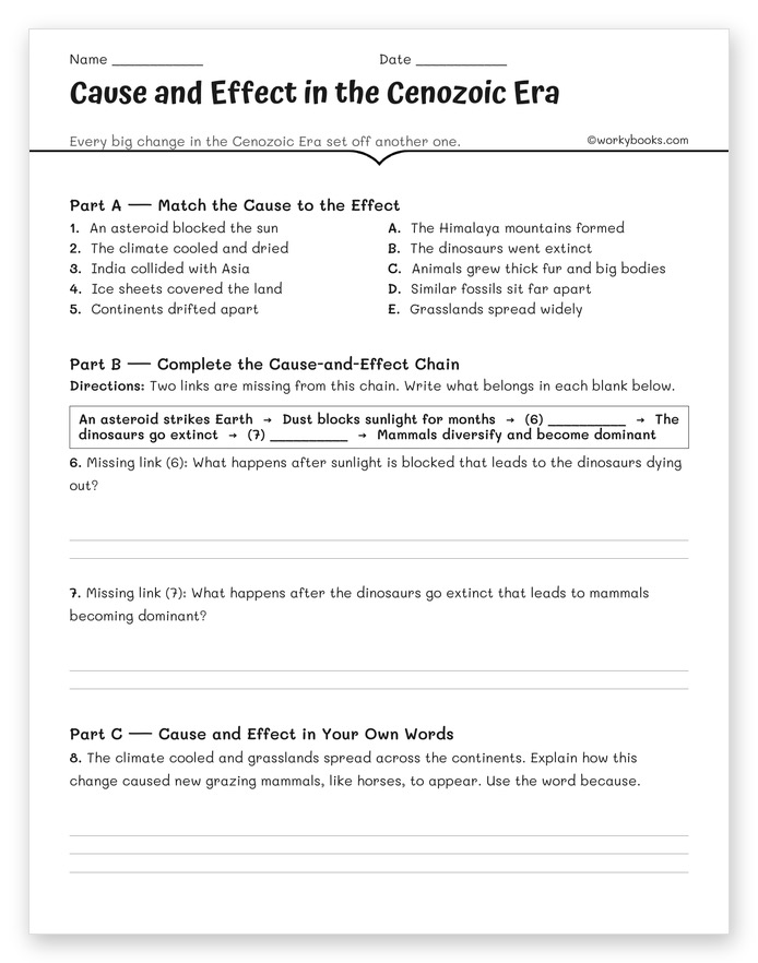 Cause and Effect in the Cenozoic Era worksheet, a Cenozoic Era for middle school activity