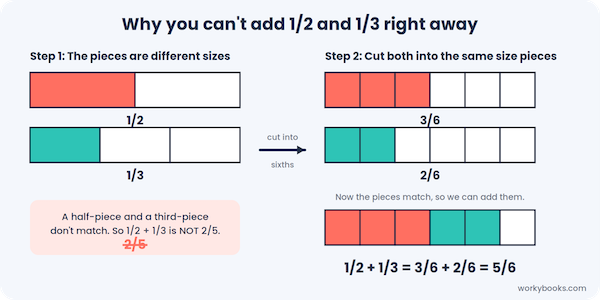 Bar model showing why 1/2 plus 1/3 is not 2/5: both fractions are cut into sixths so 3/6 plus 2/6 equals 5/6