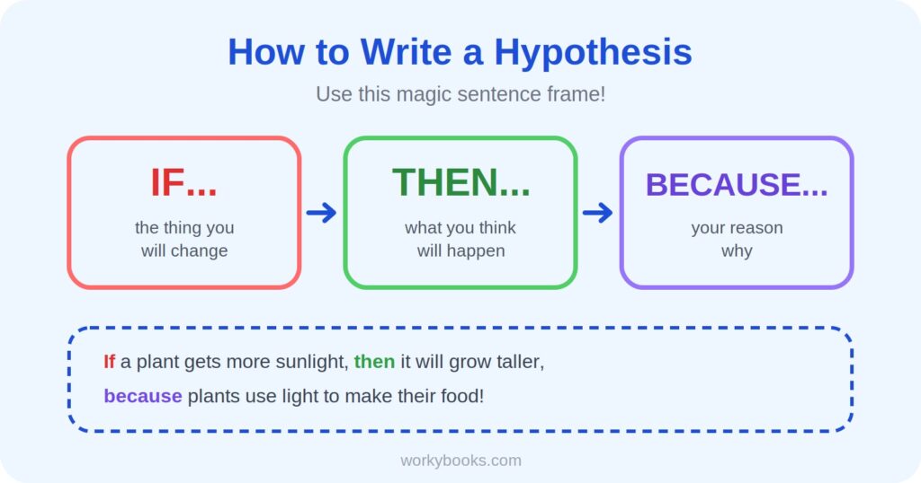 How to write a hypothesis for kids using the If, Then, Because sentence frame with a plant example
