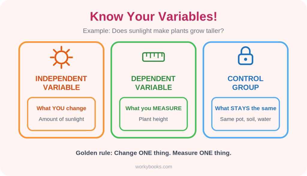 Independent and dependent variables and control group explained for kids with a plant sunlight experiment example
