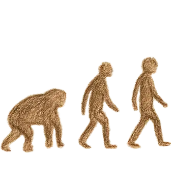 Biological Evolution