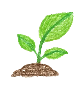 Sustainable Practices