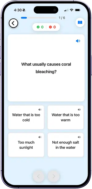 Knova App - Quiz activity