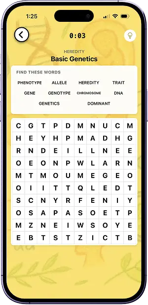 Word Search
